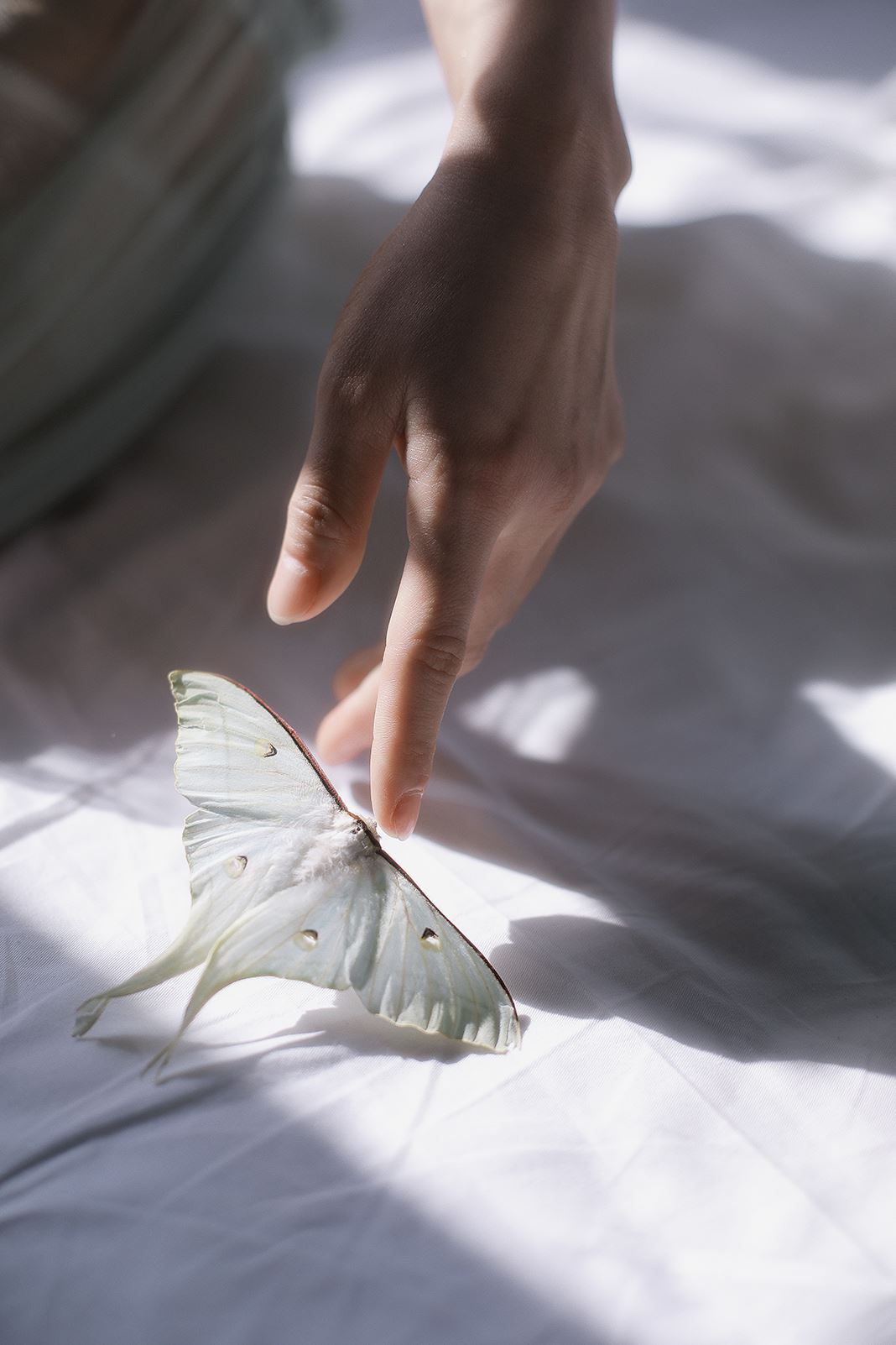 PDL潘多拉  2020.10.14 精品 No.267 光魅